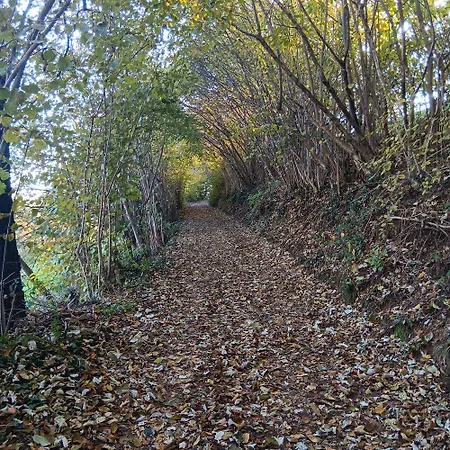 לינה וארוחת בוקר Il Sentiero Beb 3*