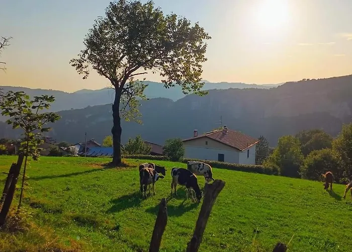 Il Sentiero Bed & Breakfast