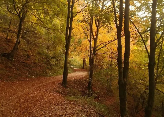 Bed & Breakfast Il Sentiero Cerro Veronese