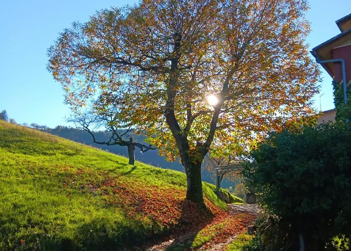 Il Sentiero Bed & Breakfast