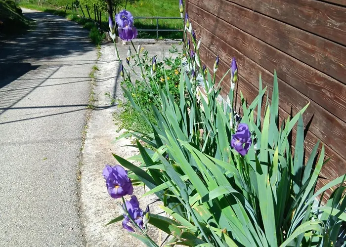 Il Sentiero Bed & Breakfast