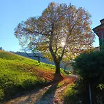 Il Sentiero Beb Bed & Breakfast