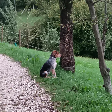 Il Sentiero Beb Bed & Breakfast 3*