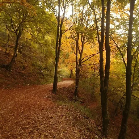 Bed & Breakfast Il Sentiero Beb Cerro Veronese