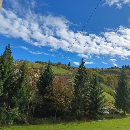 Il Sentiero Beb Cerro Veronese