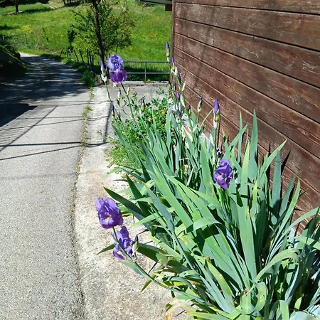 Il Sentiero Beb Bed & Breakfast